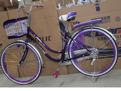 路马自行车 紫色